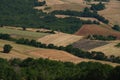 Country landscape near Motta Montecorvino, Apulia, Italy Royalty Free Stock Photo