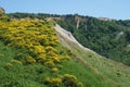 Country landscape near Volterra, Tuscany Royalty Free Stock Photo