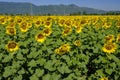 Country landscape between Rieti Lazio and Terni Umbria