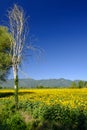 Country landscape between Rieti Lazio and Terni Umbria