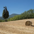 Country landscape between Rieti Lazio and Terni Umbria