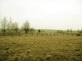 Country landscape with trees and a small house at the background.