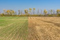 Country landscape with two seasonal fields Royalty Free Stock Photo