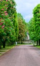 Country Lane Royalty Free Stock Photo