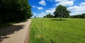 Country lane Royalty Free Stock Photo