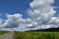 A country lane with a blue sky Royalty Free Stock Photo