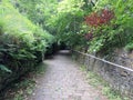 Country lane descending a steep hill Royalty Free Stock Photo