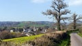 A country lane in Devon England in March