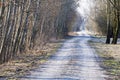 Country lane in early spring Royalty Free Stock Photo