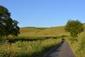 Rural country road through fields Royalty Free Stock Photo