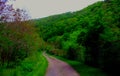 Country Lane with Greenage