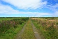 Country Lane, Ireland Royalty Free Stock Photo