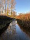 Country lane in late afternoon after heavy rain, Somerset, UK Royalty Free Stock Photo