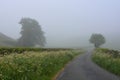 Misty morning in English countryside Royalty Free Stock Photo