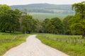 Country Lane Leading Through Green Meadow in Ireland Royalty Free Stock Photo