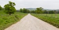 Country Lane Leading Through Green Meadow in Ireland Royalty Free Stock Photo