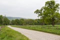 Country Lane Leading Through Green Meadow in Ireland Royalty Free Stock Photo