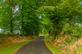 Orne Country Lane Royalty Free Stock Photo