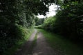 Country Lane on a Shady Summer Afternoon Royalty Free Stock Photo
