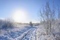 Country lane through a snow-covered meadow in winter under a blue sky with a pale sun, seasonal landscape with copy space Royalty Free Stock Photo