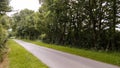 Country Lane in Spring Time Royalty Free Stock Photo