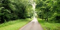 Country Lane in spring time Royalty Free Stock Photo