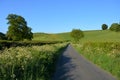 Country lane in summer, UK Royalty Free Stock Photo