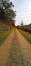 Country lane with trees and blue sky Royalty Free Stock Photo