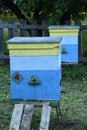 Wooden bee houses at field or at medow on the apiary farm Royalty Free Stock Photo