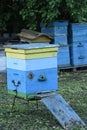 Wooden bee houses at field or at medow on the apiary farm Royalty Free Stock Photo