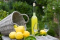 Country live, with limoncello Royalty Free Stock Photo