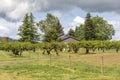 Residential home and orchards Sauvie Island OR.