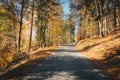 Country mountain road in Carinthia, Austria during autumn