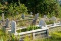 Country Muslim cemetery with green plants in Turkey Royalty Free Stock Photo