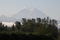 View of the Mount Rainier from valley in washington usa