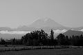 View of the Mount Rainier from valley in washington usa