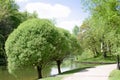 Country park with a beautiful landscape and a lake