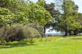 Country park with trees, flowers, grassy meadow Royalty Free Stock Photo