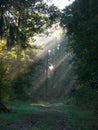 Country path Royalty Free Stock Photo