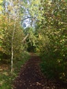 Country path