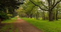 Country Path Royalty Free Stock Photo