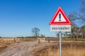 Country path  with a road sign indicating caution, inscription below reading: Cattle Grid, trees in the background Royalty Free Stock Photo