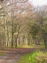 Country Path in Yeovil Country Park