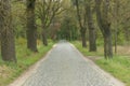 A country paved road. Royalty Free Stock Photo