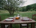 Country picnic concept. Royalty Free Stock Photo
