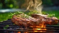 Country picnic feast: grilled meat with rosemary on a flaming BBQ grill in nature Royalty Free Stock Photo