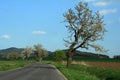 Country road