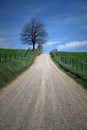 COUNTRY ROAD Royalty Free Stock Photo