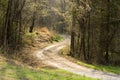 Country road in afternoon sun Royalty Free Stock Photo