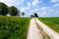 Country road along lucerne field